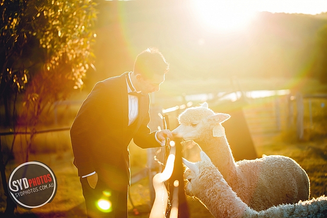 Best Pre Wedding Photography Sydney | Pre Wedding Photoshoot Sydney