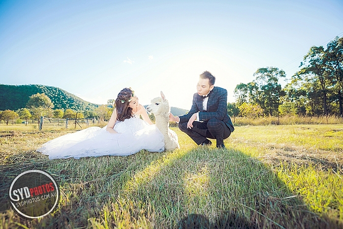 Best Pre Wedding Photography Sydney | Pre Wedding Photoshoot Sydney