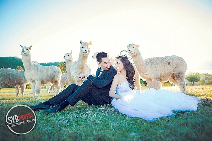 Best Pre Wedding Photography Sydney | Pre Wedding Photoshoot Sydney