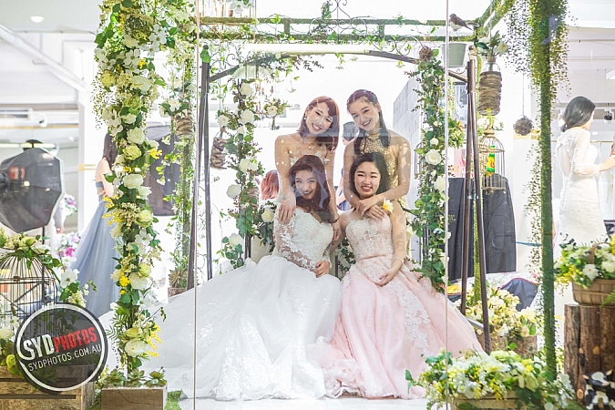 Photographers Portfolios