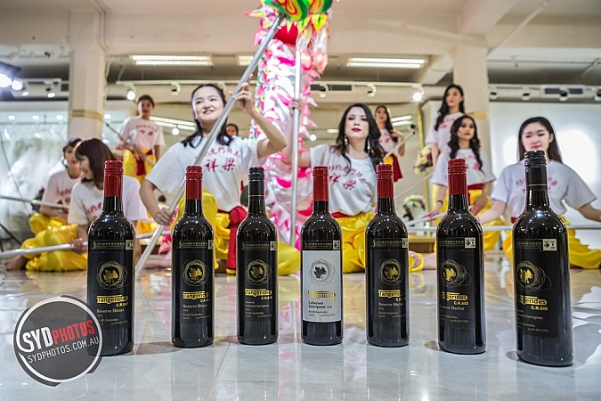 Photographers Portfolios