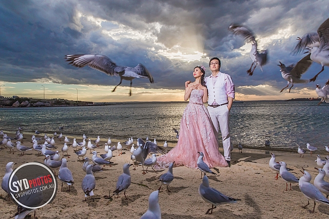 Photographers Portfolios