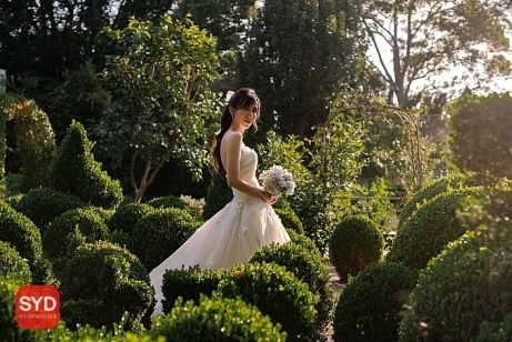 悉尼婚纱照
