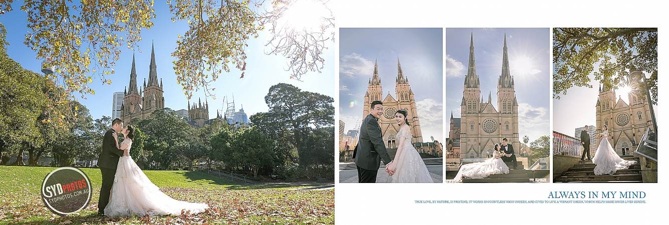 Photographers Portfolios