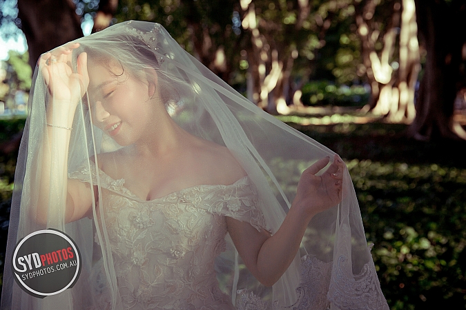 Photographers Portfolios