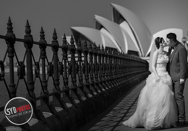 Photographers Portfolios