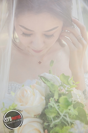 Photographers Portfolios