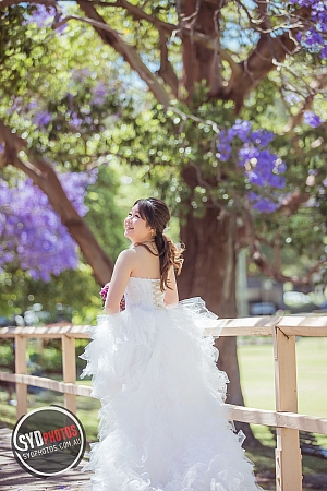 Photographers Portfolios