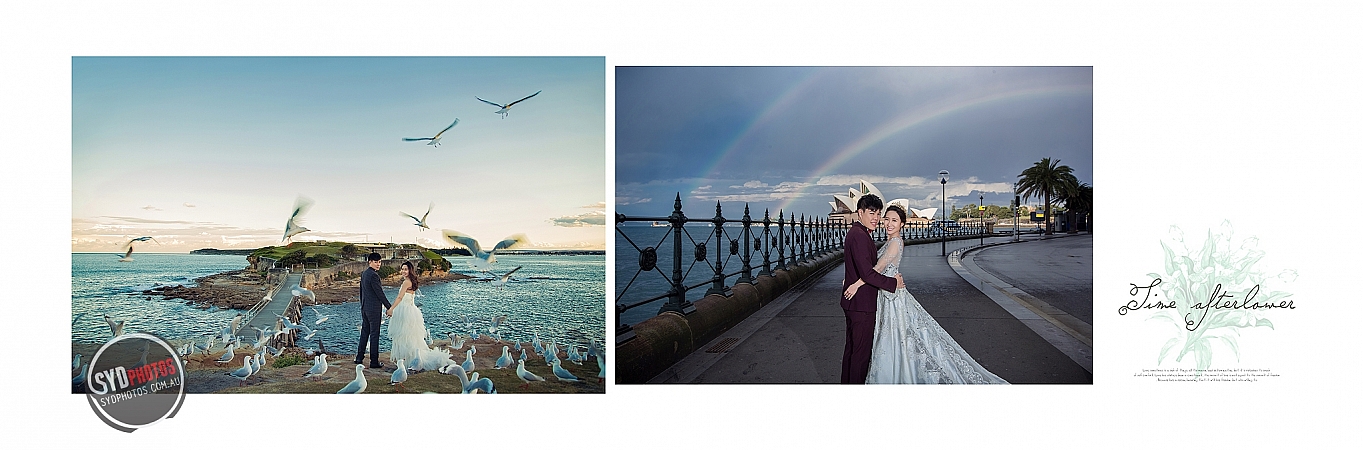 Photographers Portfolios