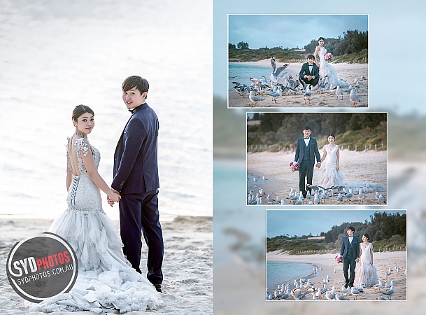 Photographers Portfolios