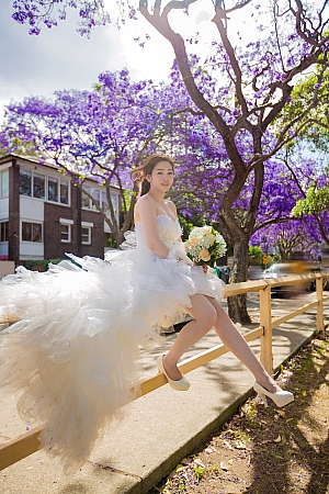 Photographers Portfolios
