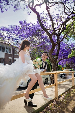 Photographers Portfolios