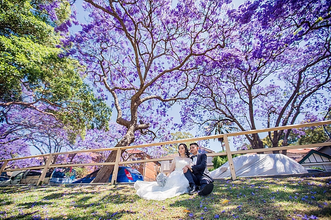 Photographers Portfolios