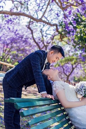 Photographers Portfolios