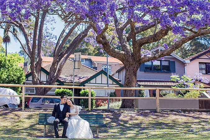 Photographers Portfolios