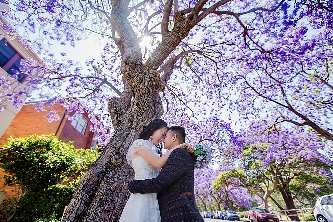 Photographers Portfolios