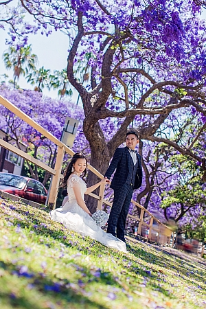 Photographers Portfolios