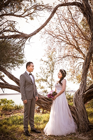 Pre Wedding