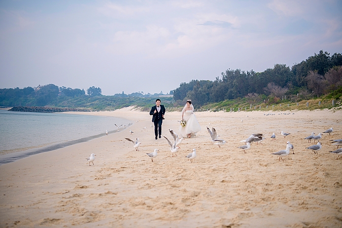 Pre Wedding