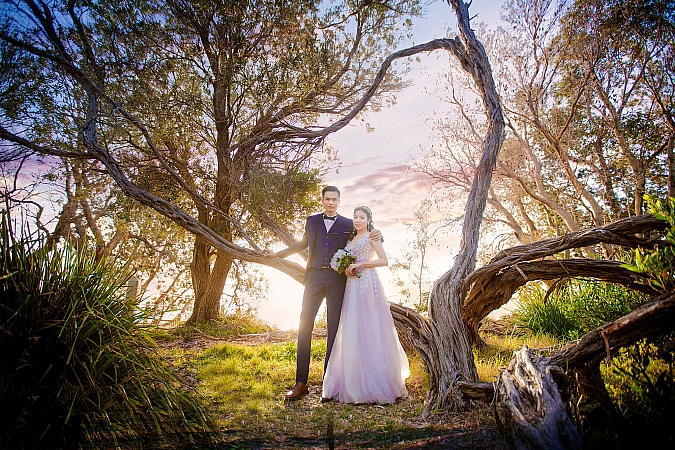 Pre Wedding