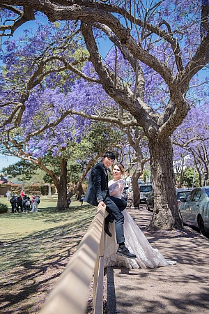Pre Wedding