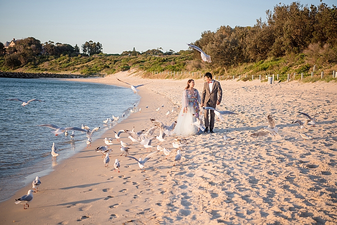 Pre Wedding