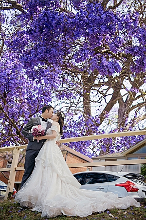 Pre Wedding