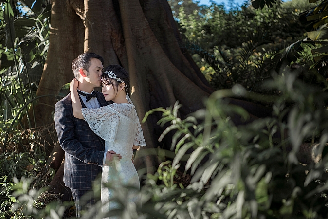 Pre Wedding