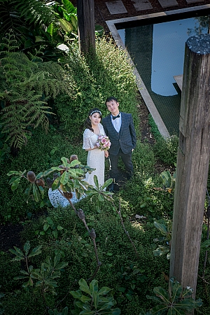 Pre Wedding