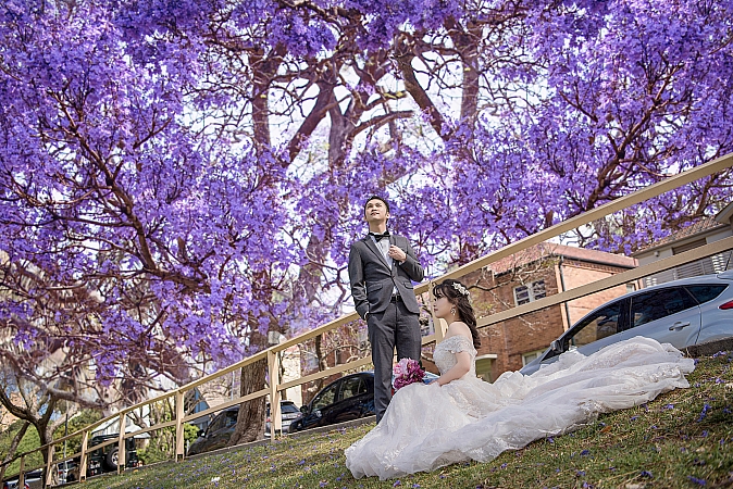 Pre Wedding