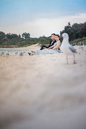 Pre Wedding