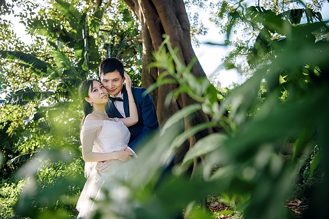 Pre Wedding