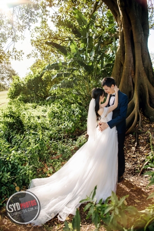 Pre Wedding