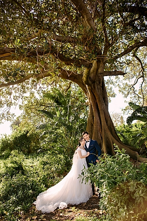 Pre Wedding