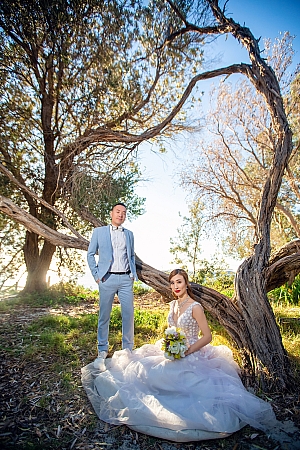Pre Wedding