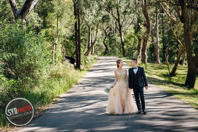 Pre Wedding
