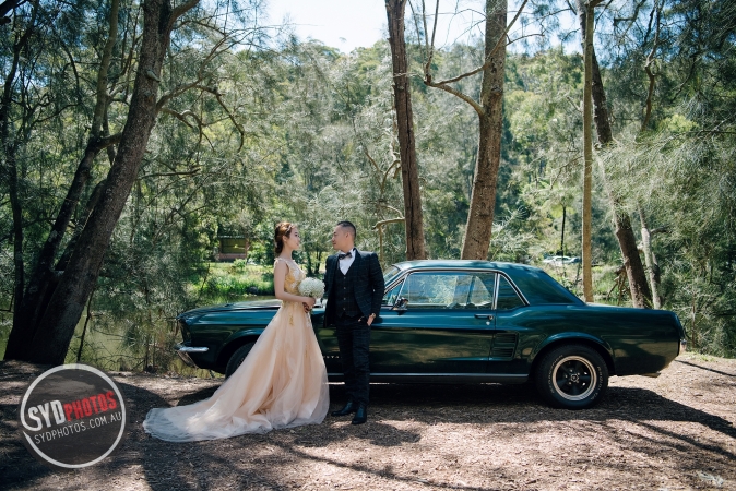 Pre Wedding