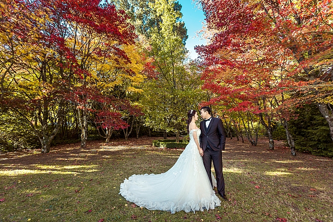 Pre Wedding