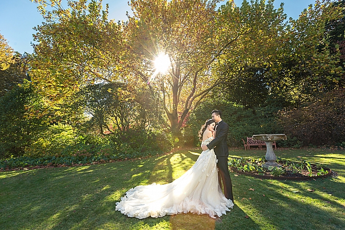 Pre Wedding