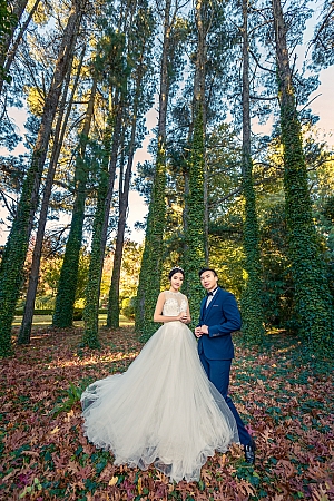 Pre Wedding
