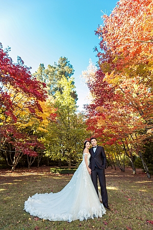 Pre Wedding
