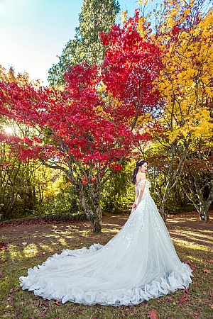 Pre Wedding