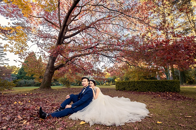 Pre Wedding