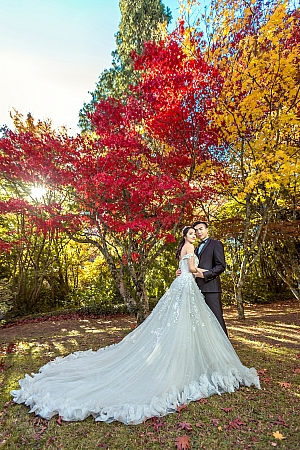 Pre Wedding