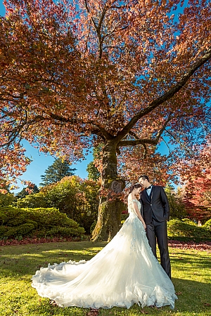Pre Wedding