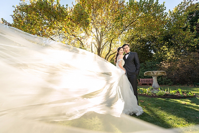 Pre Wedding