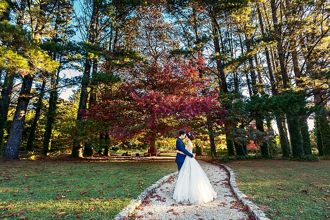 Pre Wedding