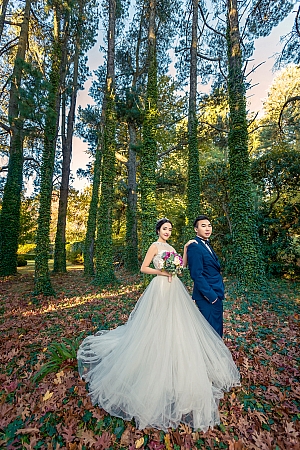 Pre Wedding