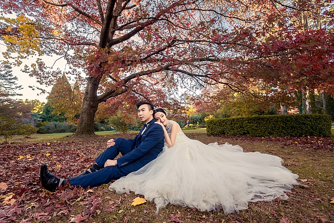 Pre Wedding