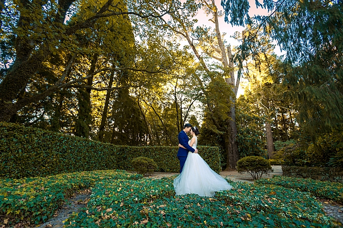 Pre Wedding